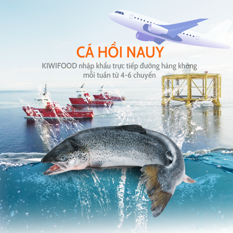 Cá Hồi Nauy nhập khẩu trực tiếp